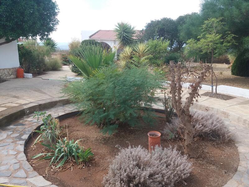 130-1292: Cortijo: Traditional Cottage for Sale in Albox, Almería
