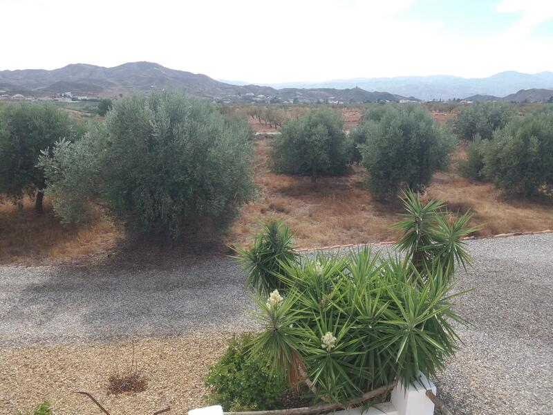 130-1292: Cortijo: Traditional Cottage for Sale in Albox, Almería