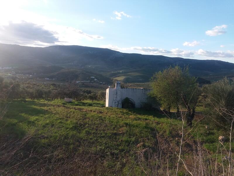 130-1396: Land for Sale in El Burgo, Málaga