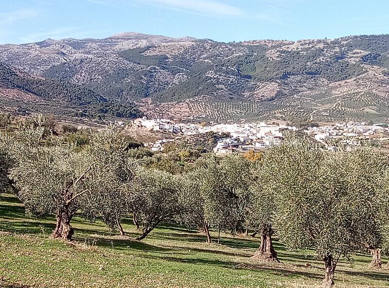 Land for Sale in El Burgo, Málaga