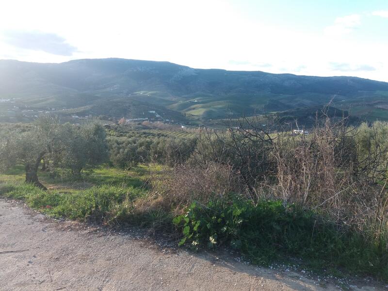 130-1396: Land for Sale in El Burgo, Málaga