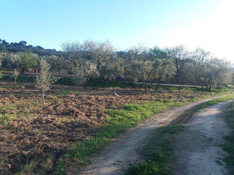 130-1396: Land for Sale in El Burgo, Málaga