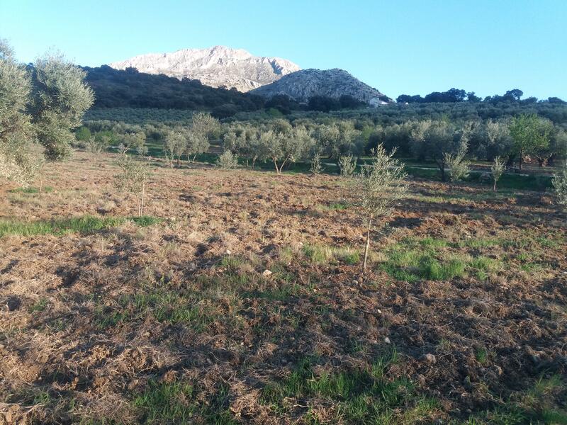 130-1396: Land for Sale in El Burgo, Málaga