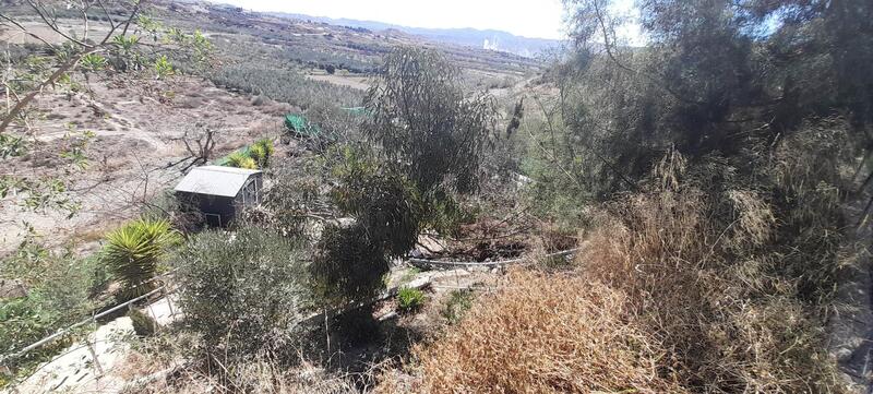 130-1426: Cortijo: Traditional Cottage for Sale in Albox, Almería
