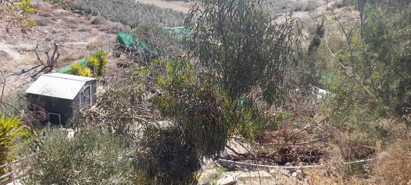 130-1426: Cortijo: Traditional Cottage for Sale in Albox, Almería